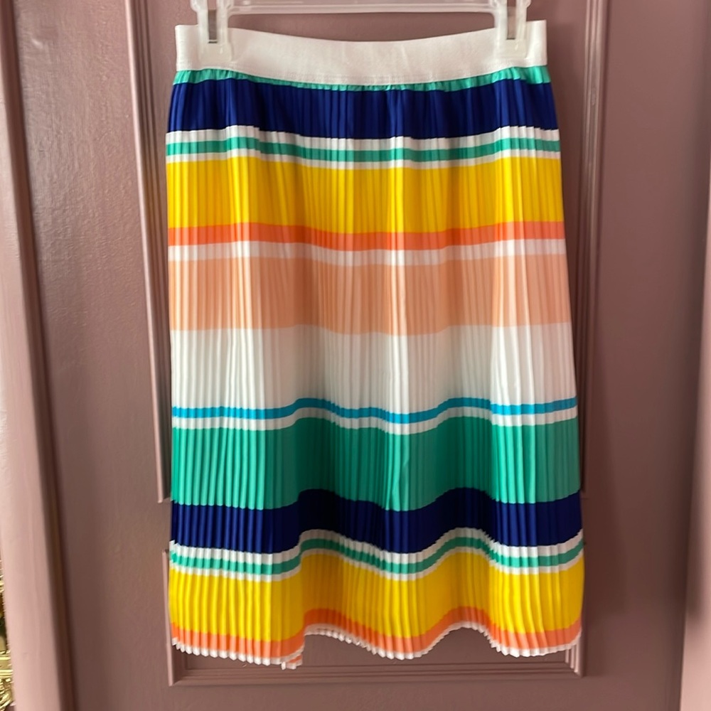 NWOT Gorgeous pleated midi skirt